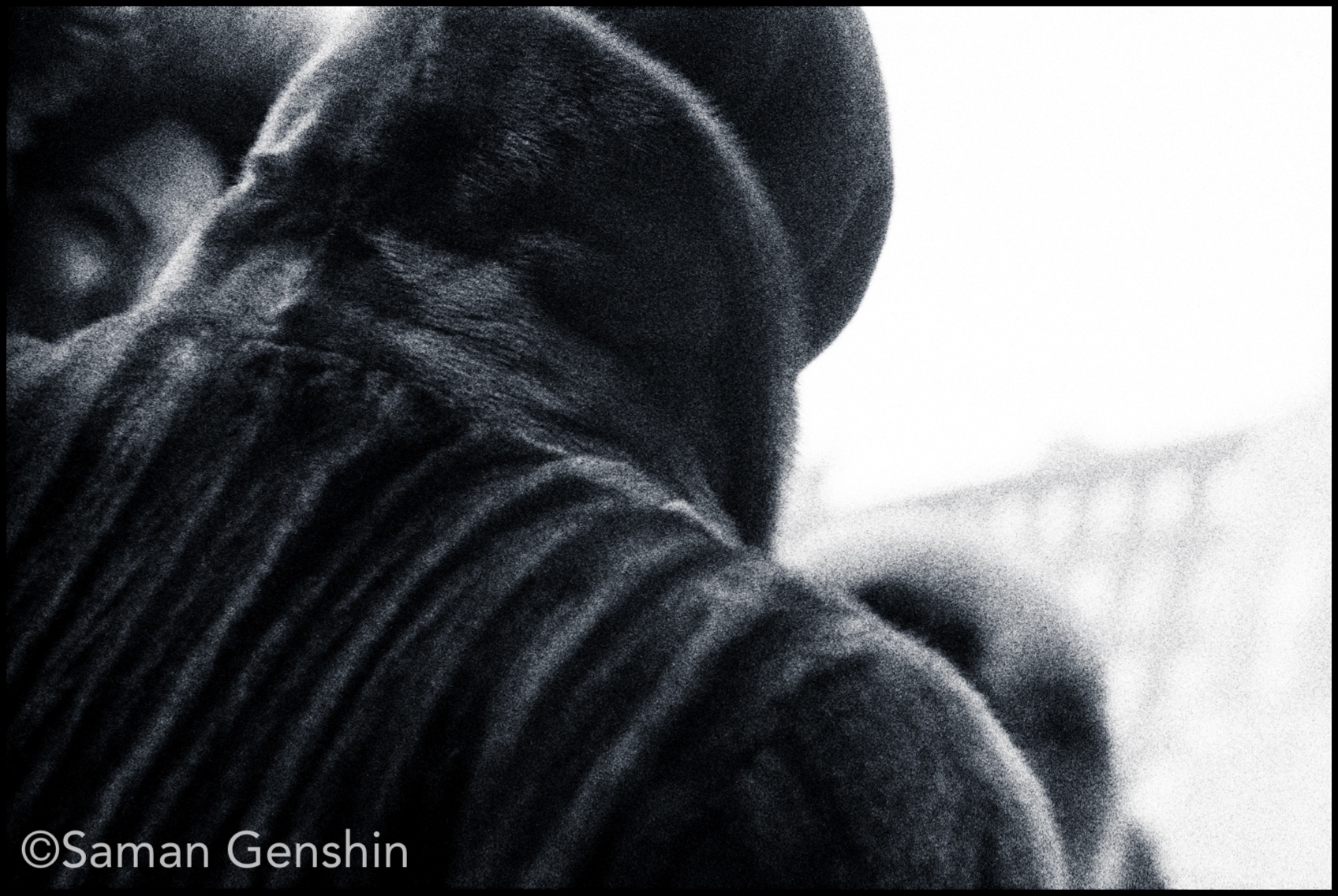 filmfile0875-467.jpg