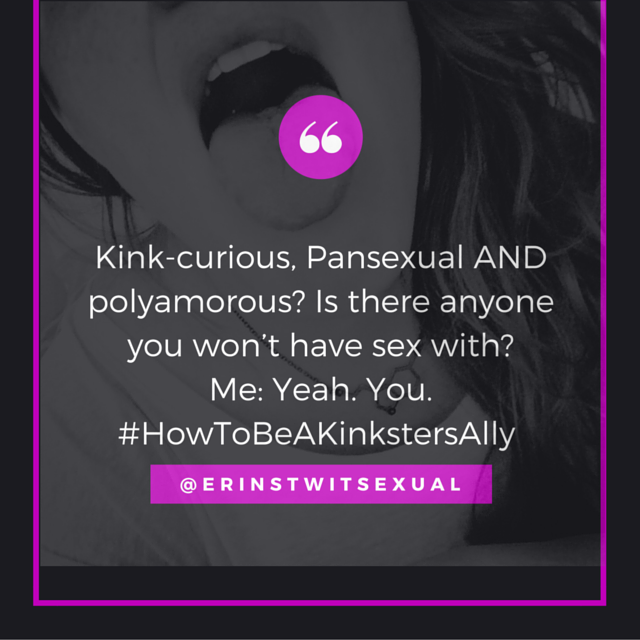 yeahouhowtobeakinkstersally.png