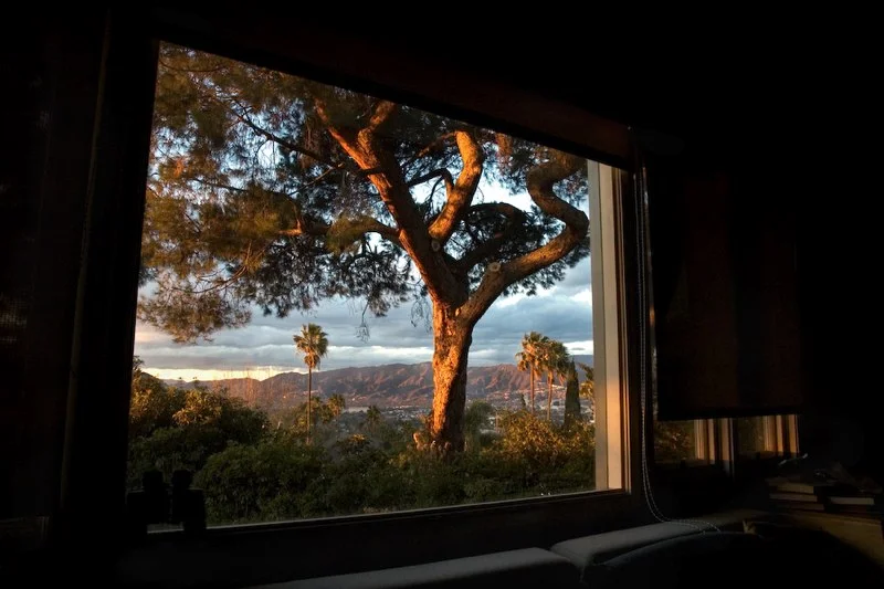 treesunD0028.jpg