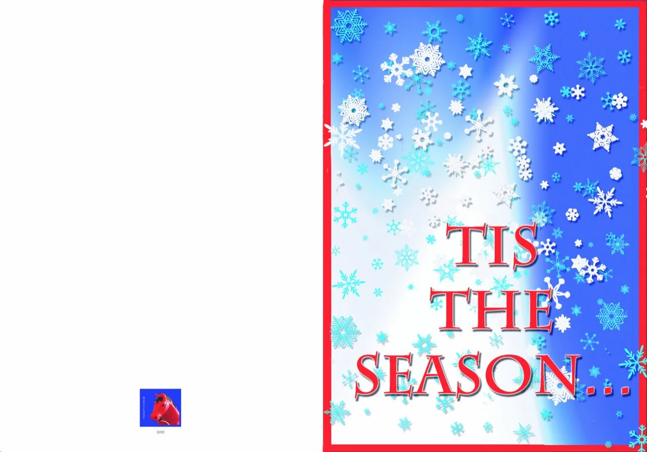 xmas 2021coverflat.jpeg