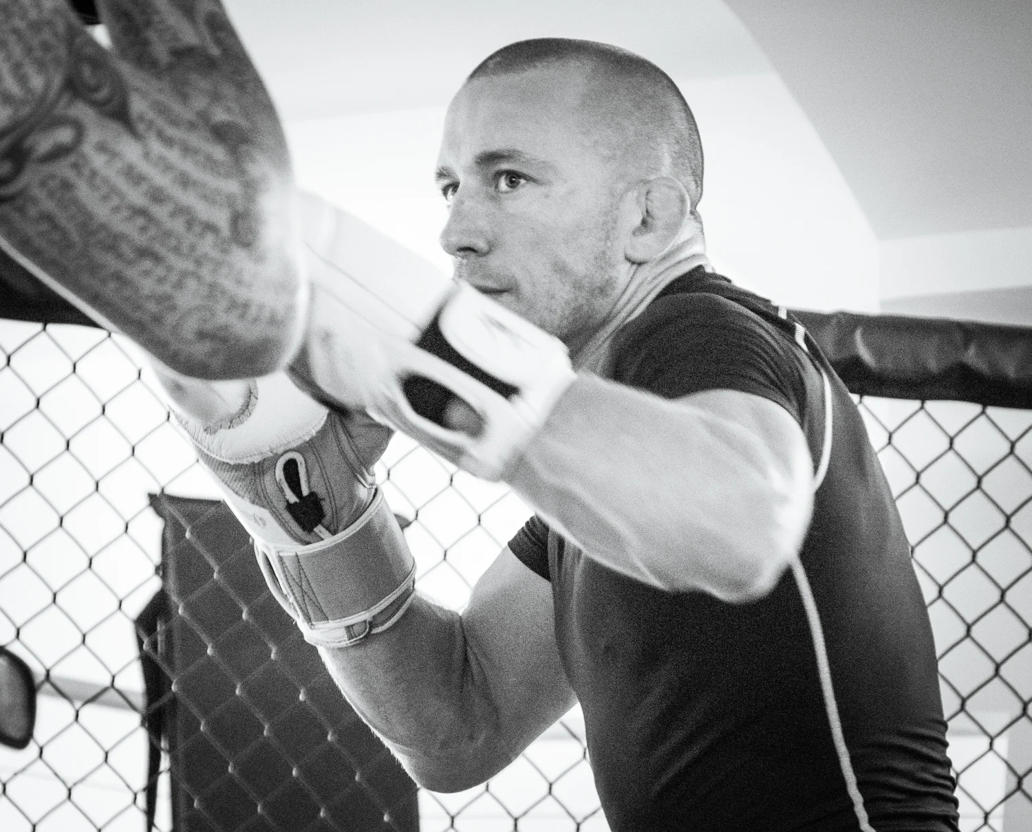 VASARI_UFC_GSP-1277.jpg
