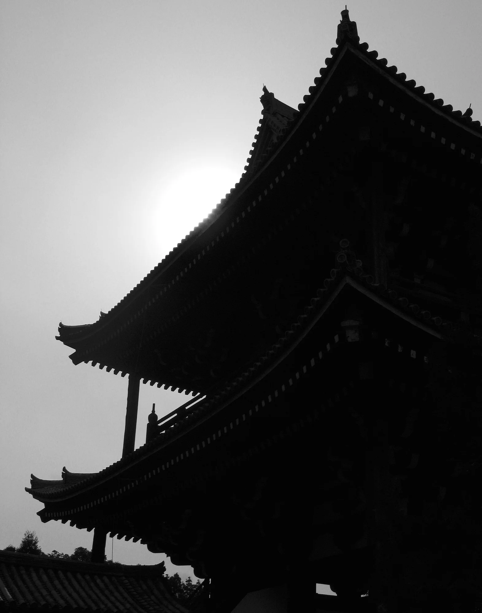 VASARI_TOKYO_3628.jpg