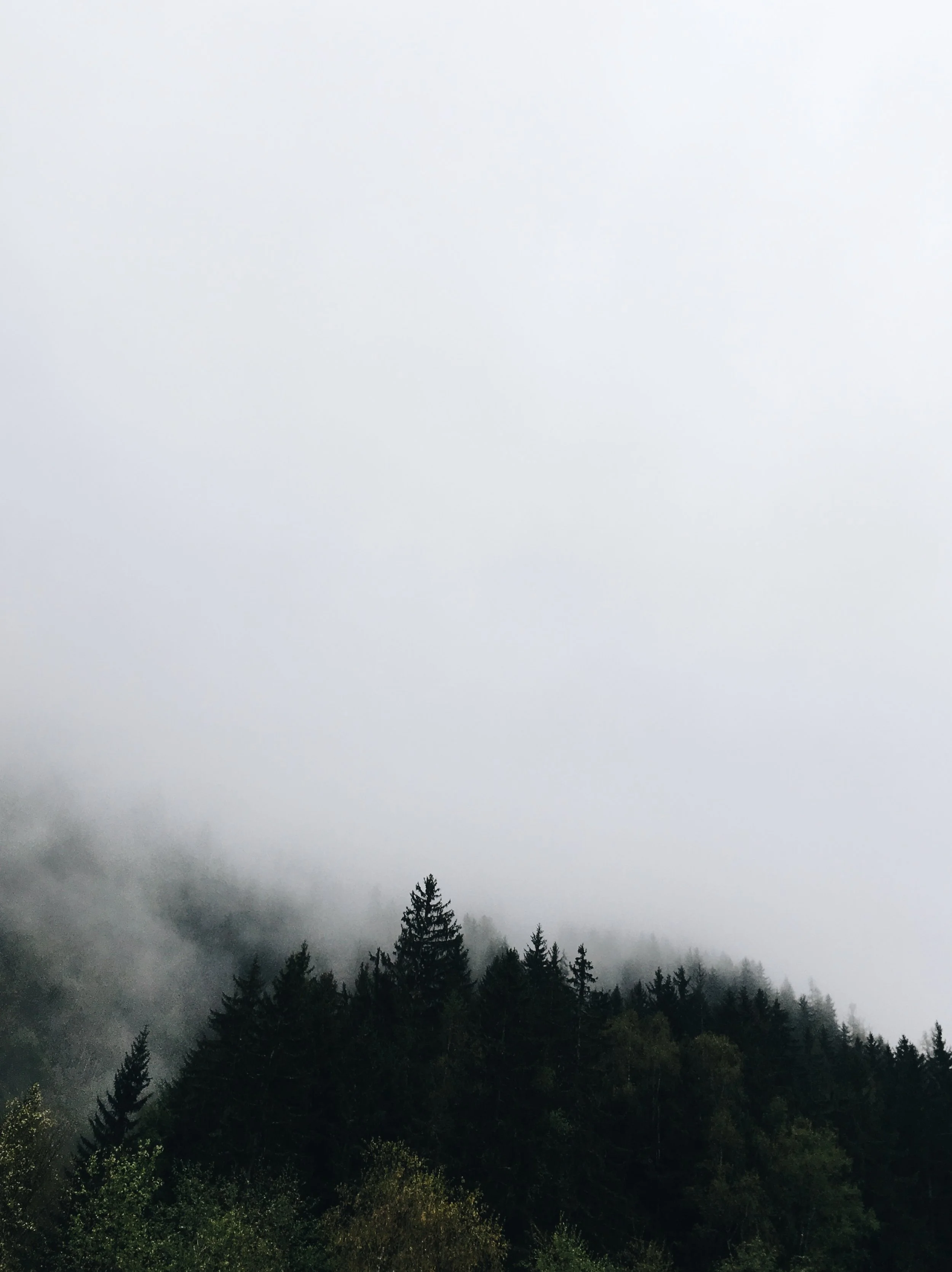 6AA0E951-7AE9-43D4-8DF2-65FE20A758CF.jpg