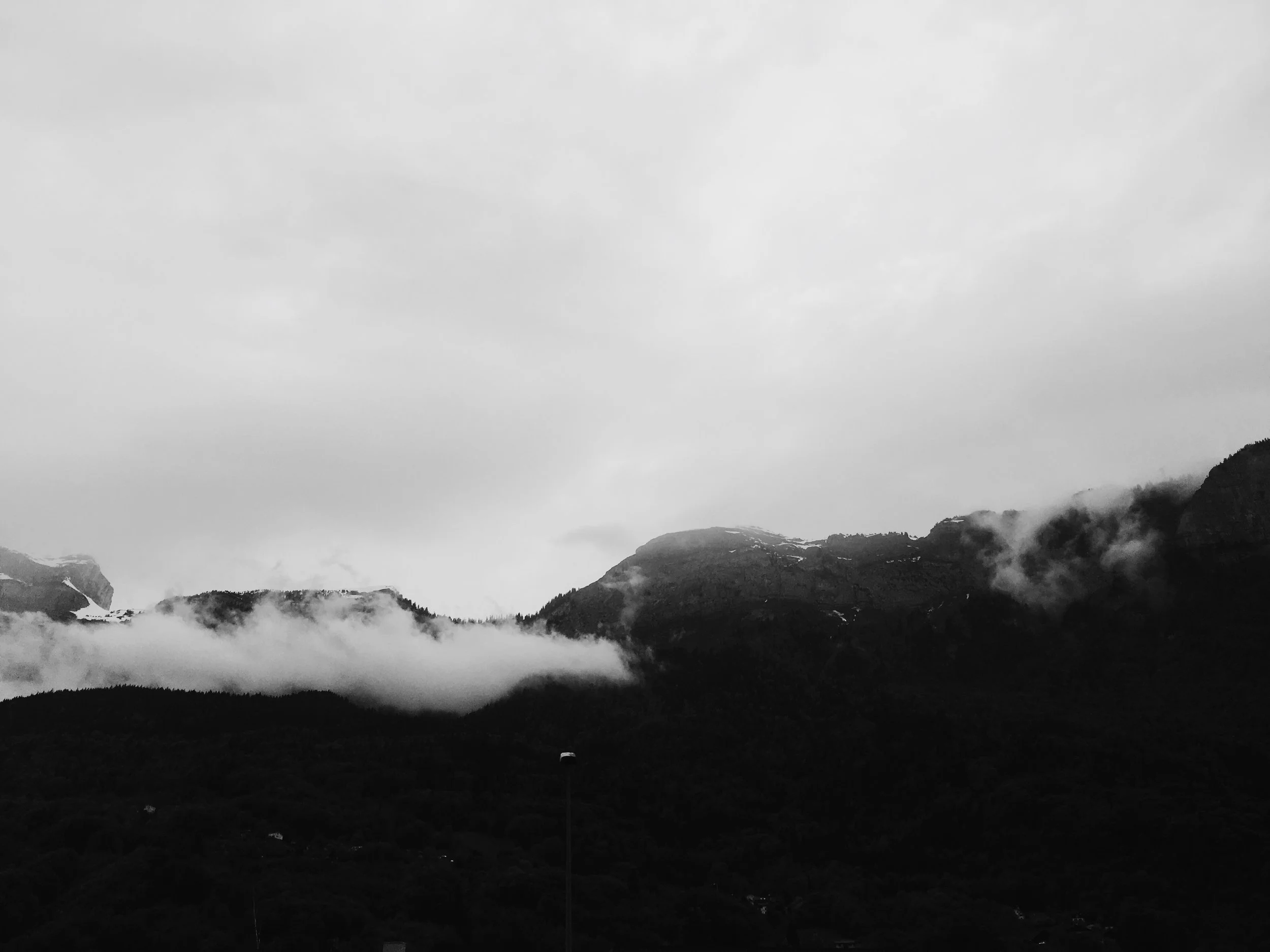 F445CDE8-EB81-4468-B926-E6BFA1126649.jpg