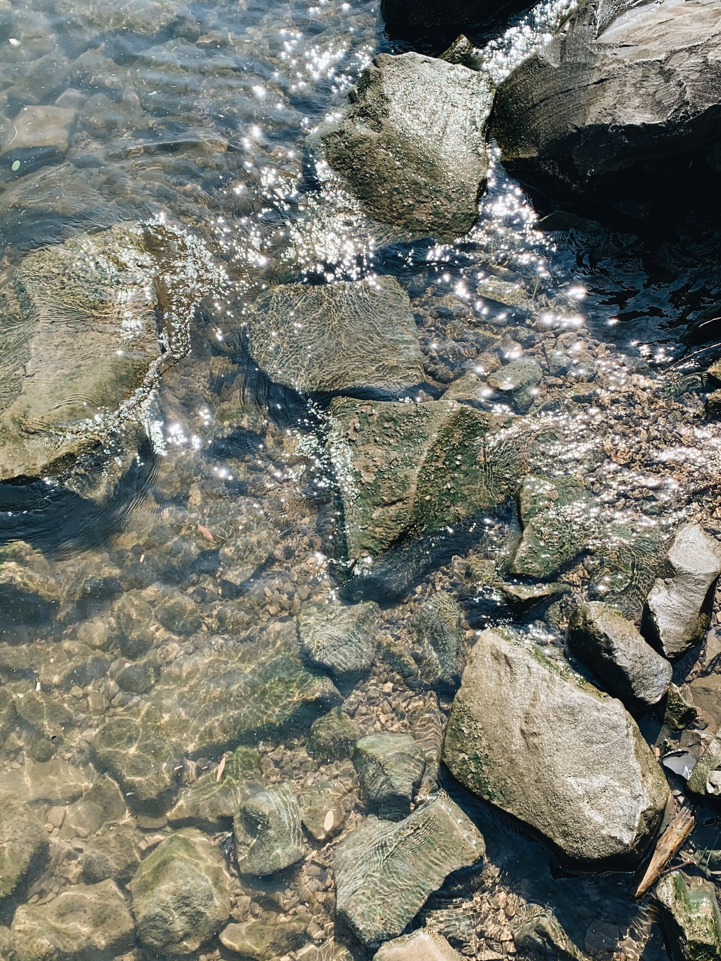 image00004.jpg