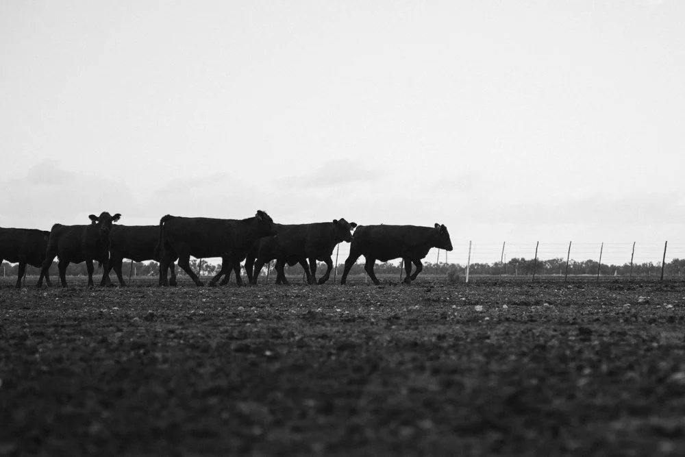 08_13_18_Desert_Roadtrip_0140_bw.jpg