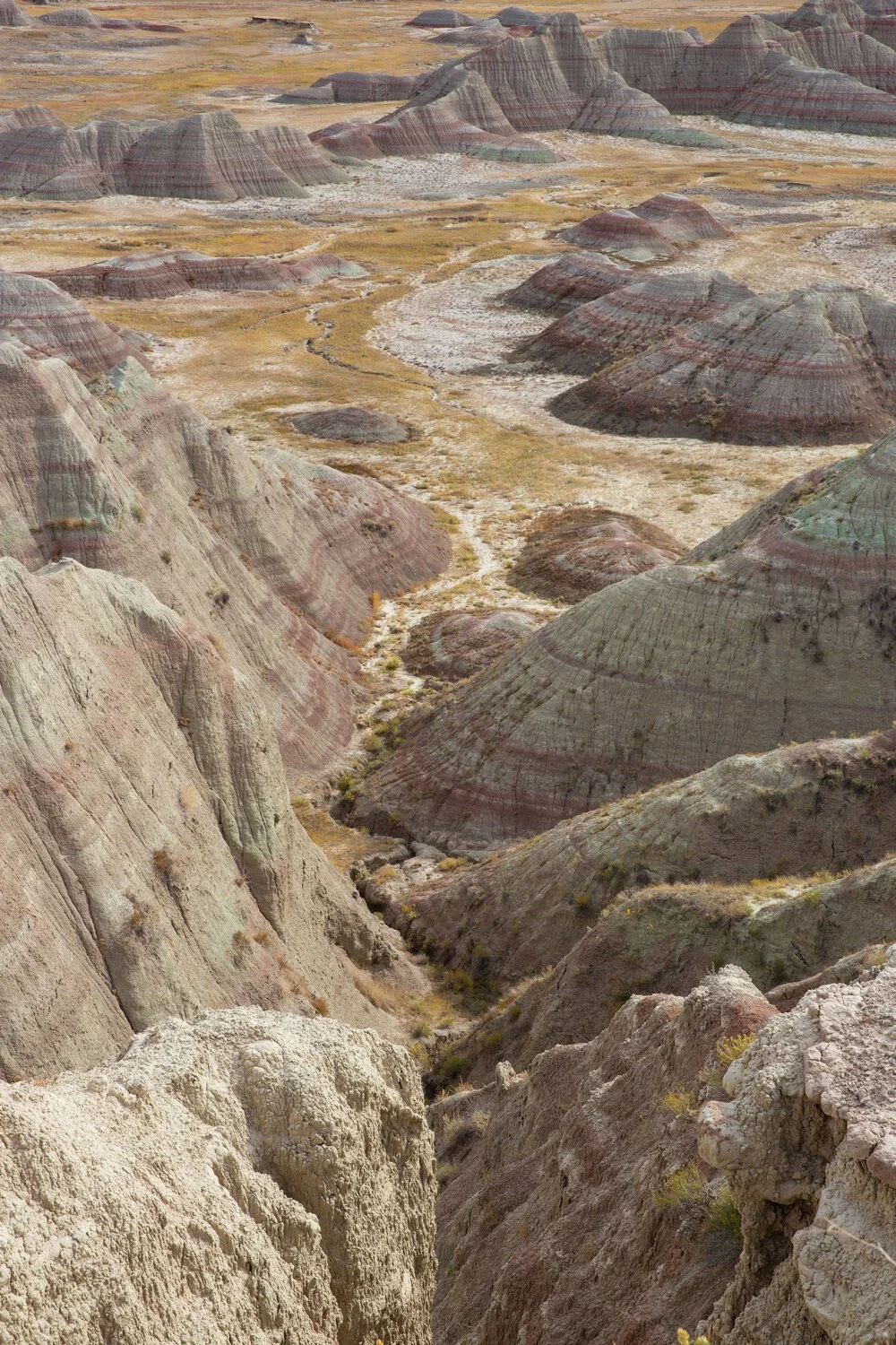 2020_11_27_Road_Trip_0260.jpg
