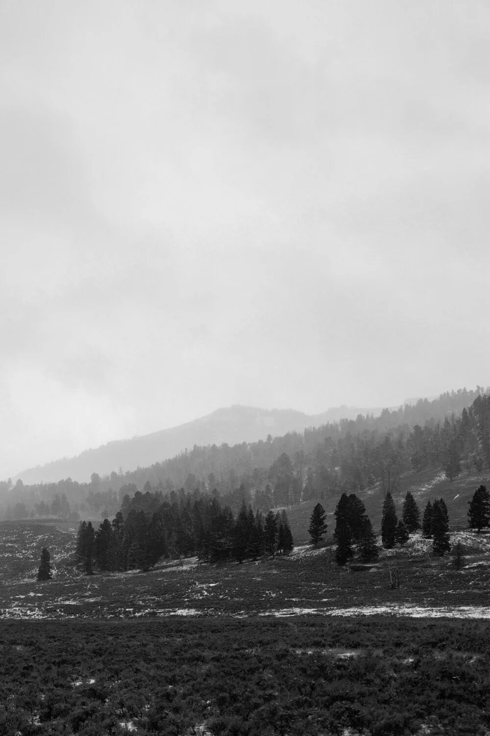 2020_11_27_Road_Trip_0530_bw.jpg