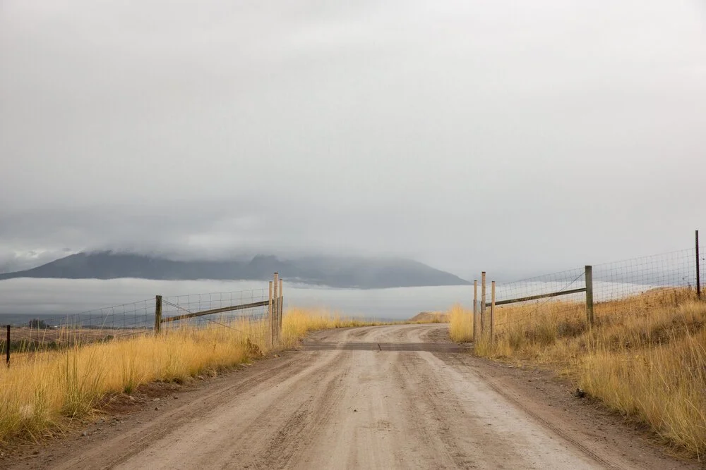 2020_11_27_Road_Trip_0726-2.jpg