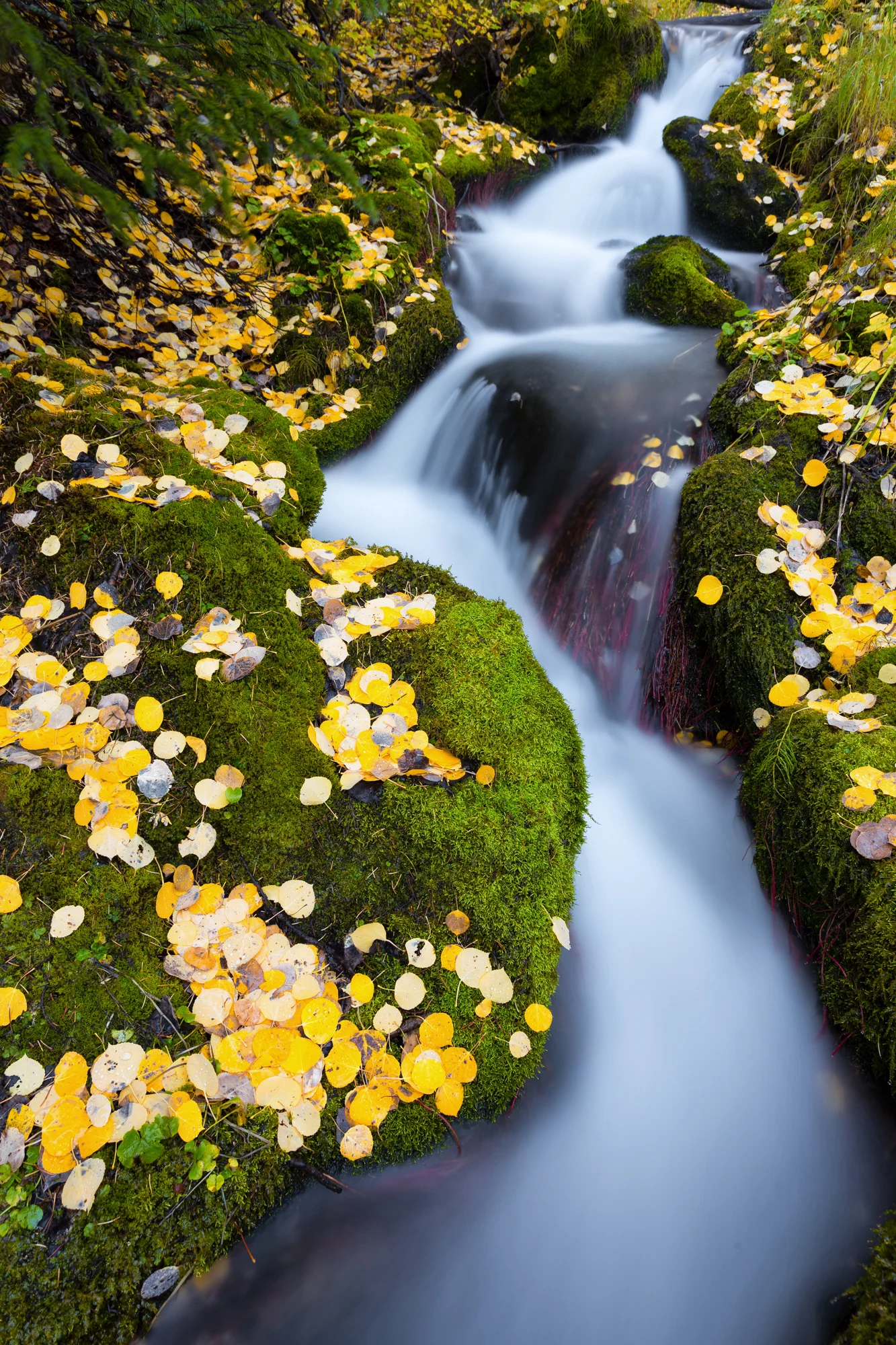 Canon 5D Mark III, 17-40mm ƒ/4L, Manfrotto Tripod 20mm, 8 second exposure, ISO 50