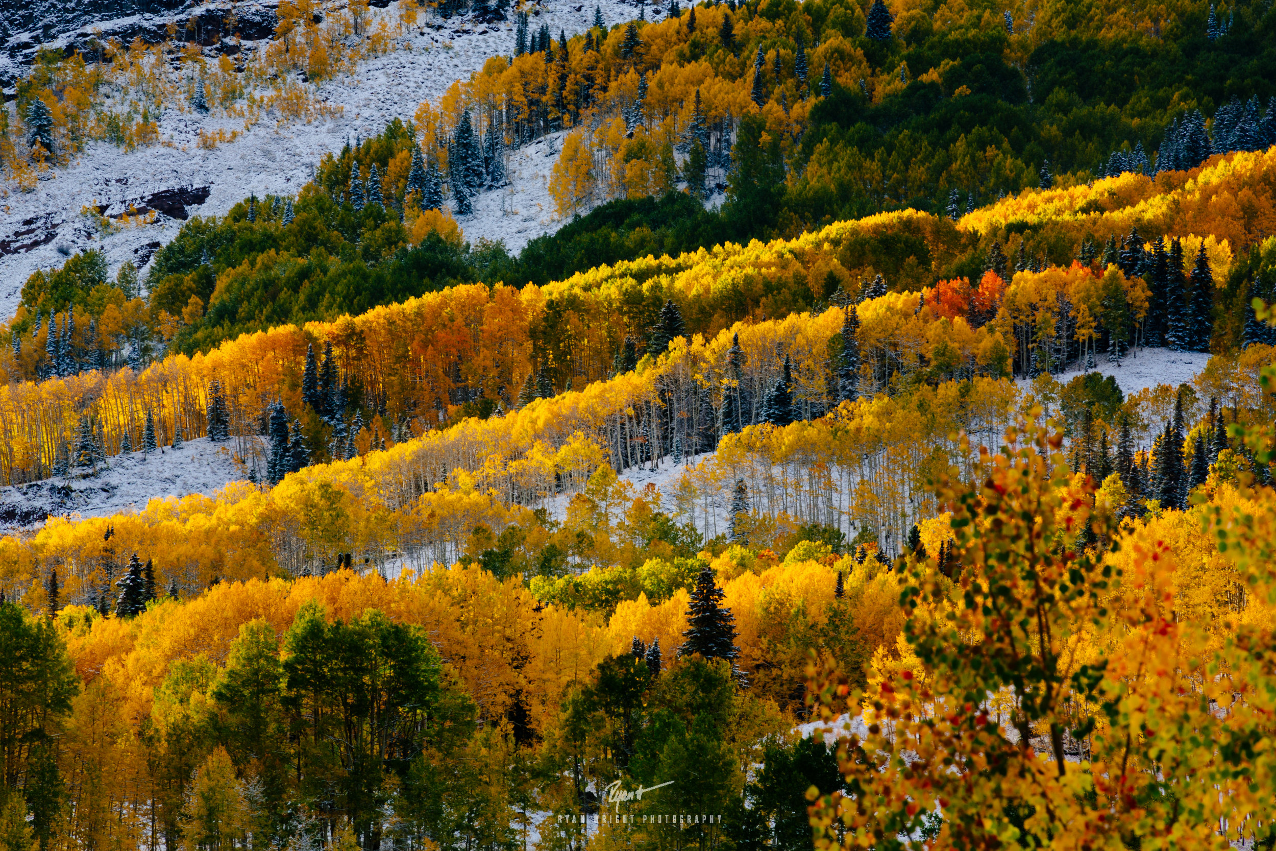 Colorful Colorado - Kebler Pass, CO - Prints Available