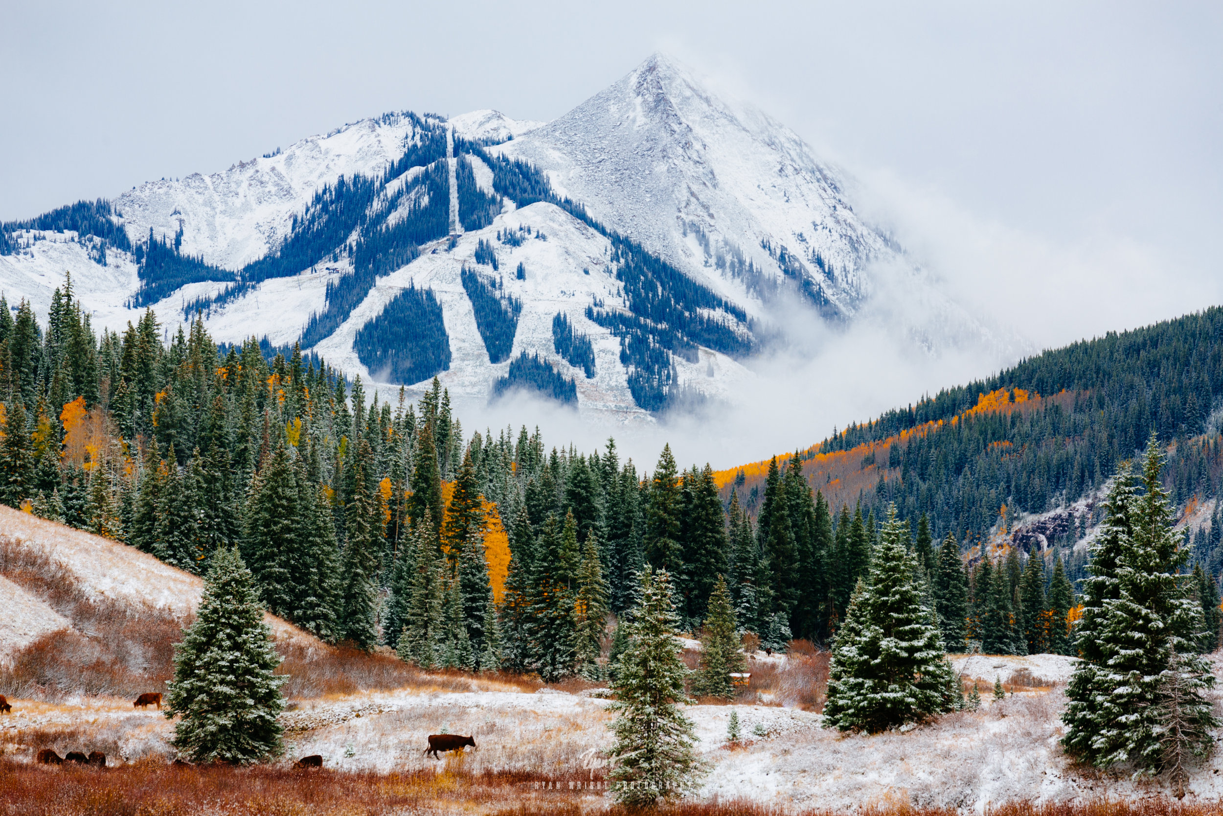 Majestic Mt. Crested Butte - Crested Butte, CO - Prints Available