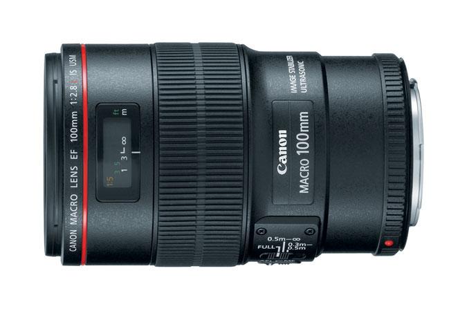 Canon 100mm EF f/2.8L IS Macro Lens Review — Ryan Wright Photography