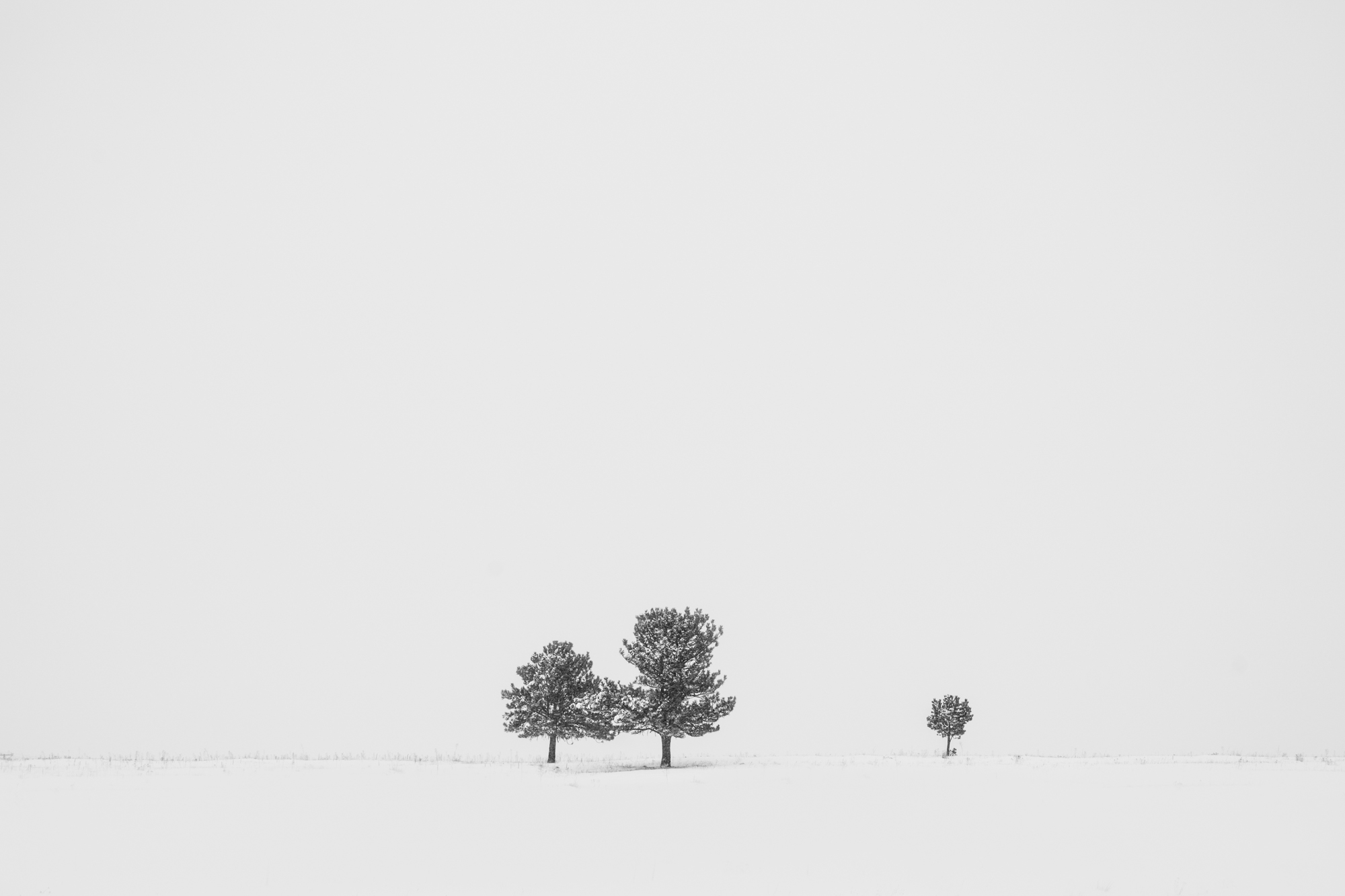 Minimalism Snowstorm.jpg