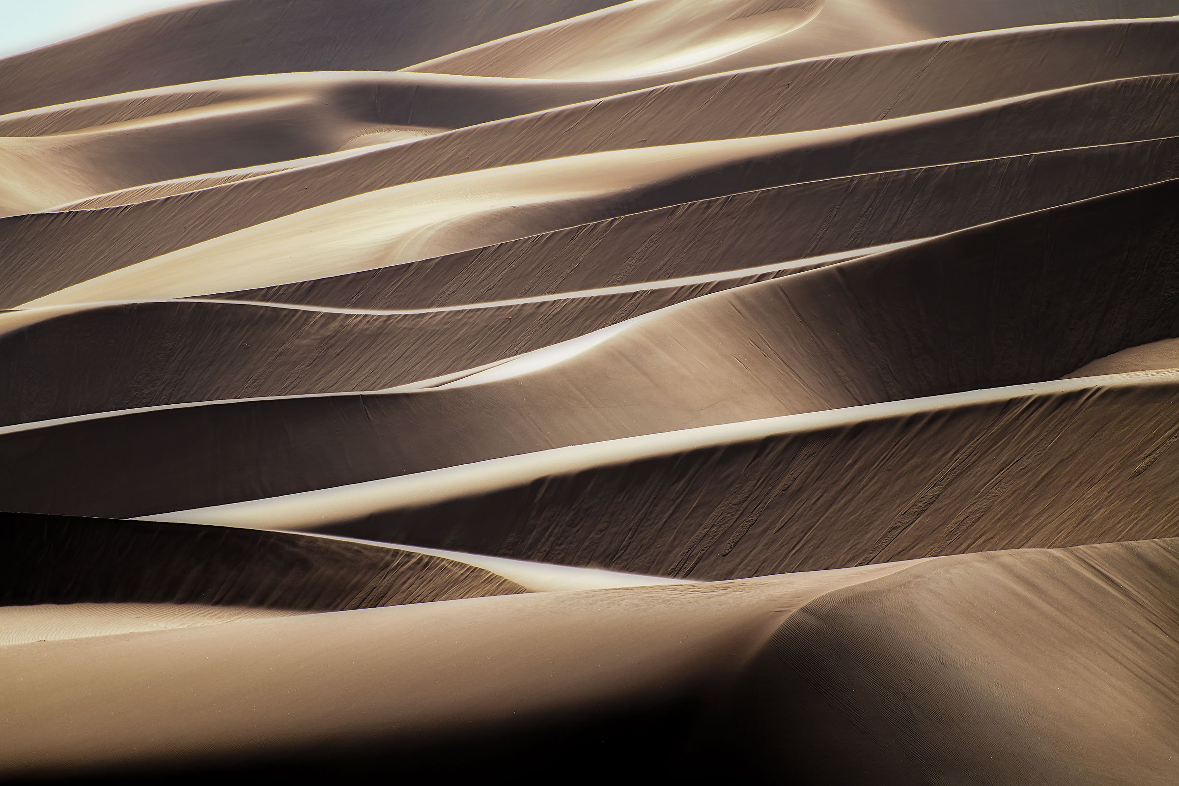 april-2022-dunes-trip-382-NEF_DxO_DeepPRIME-Edit-sharpened.jpg