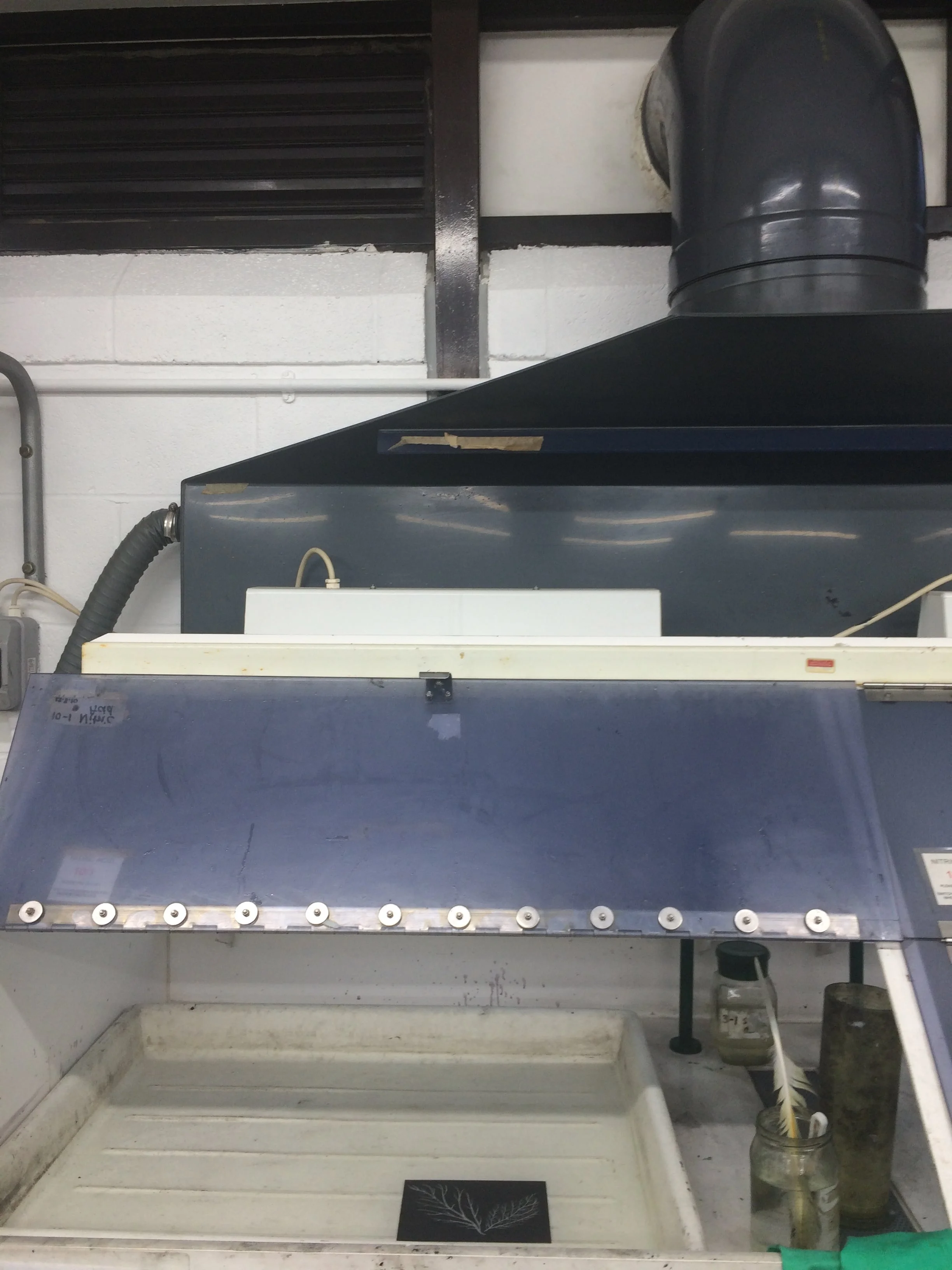  浸泡在酸洗池内（注意：戴橡胶防护手套） 