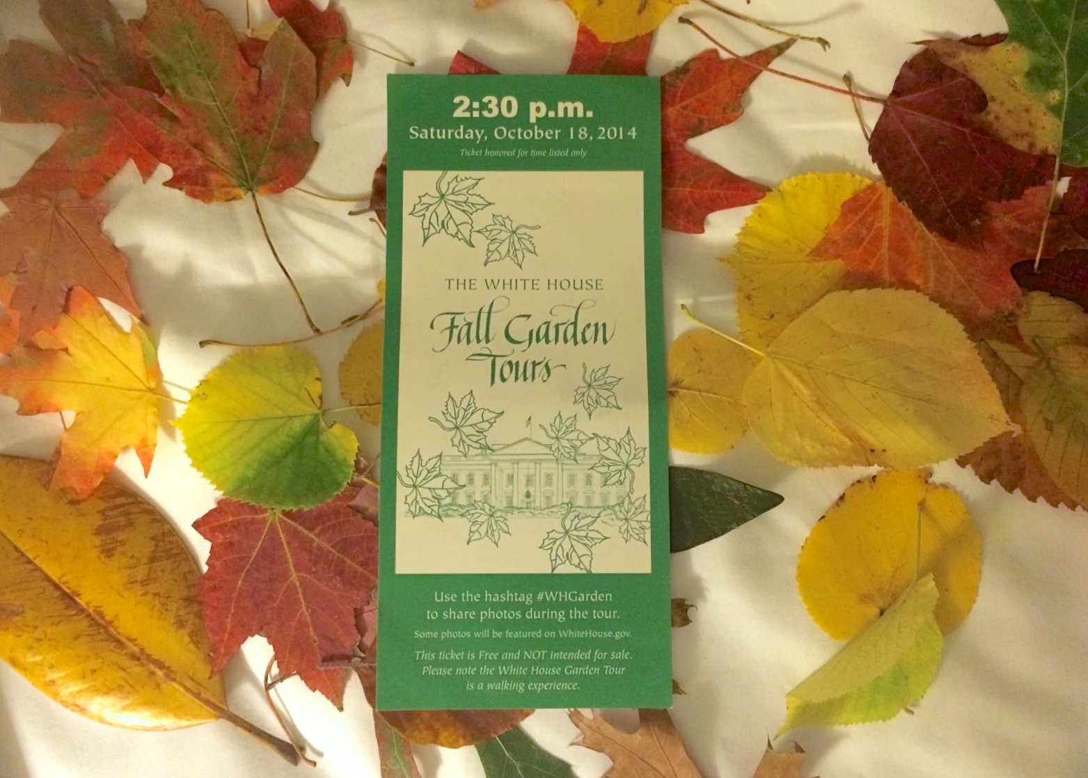 2014-10-29副本 2.jpeg