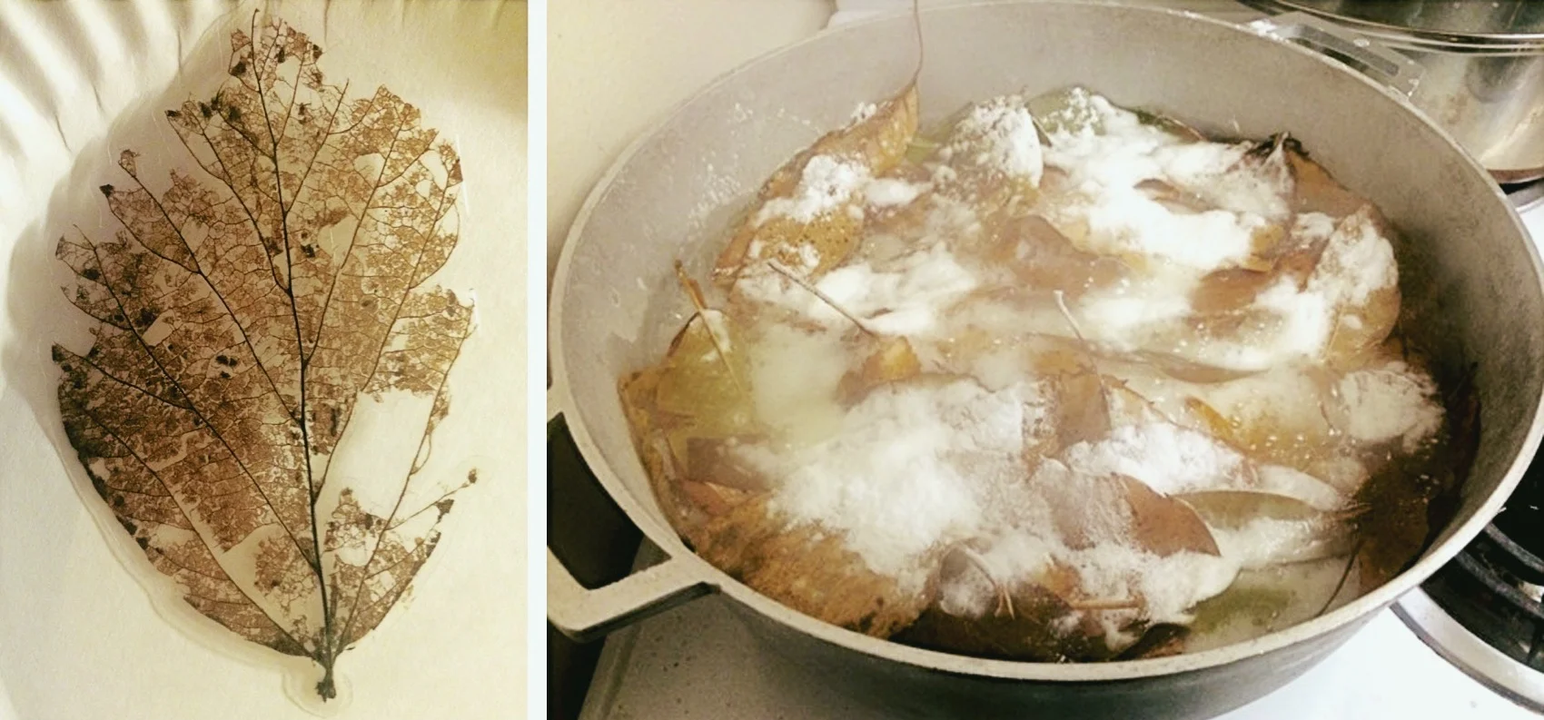  Use baking soda powder to boil them with water  加入食用小苏打和枯叶一起煮沸 