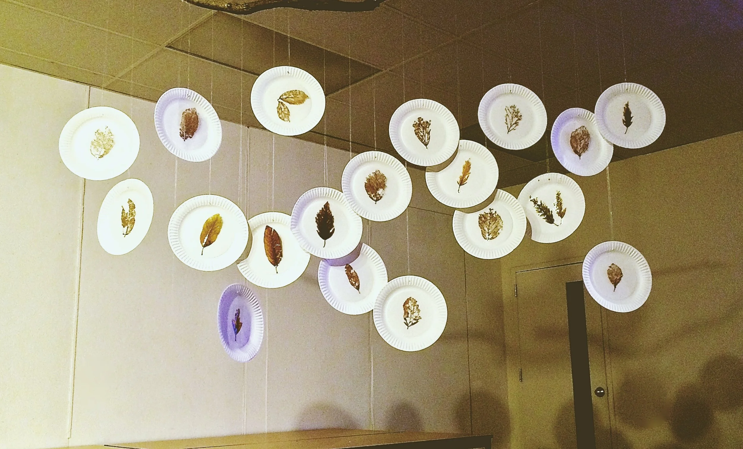 Exhibition Display  展览    