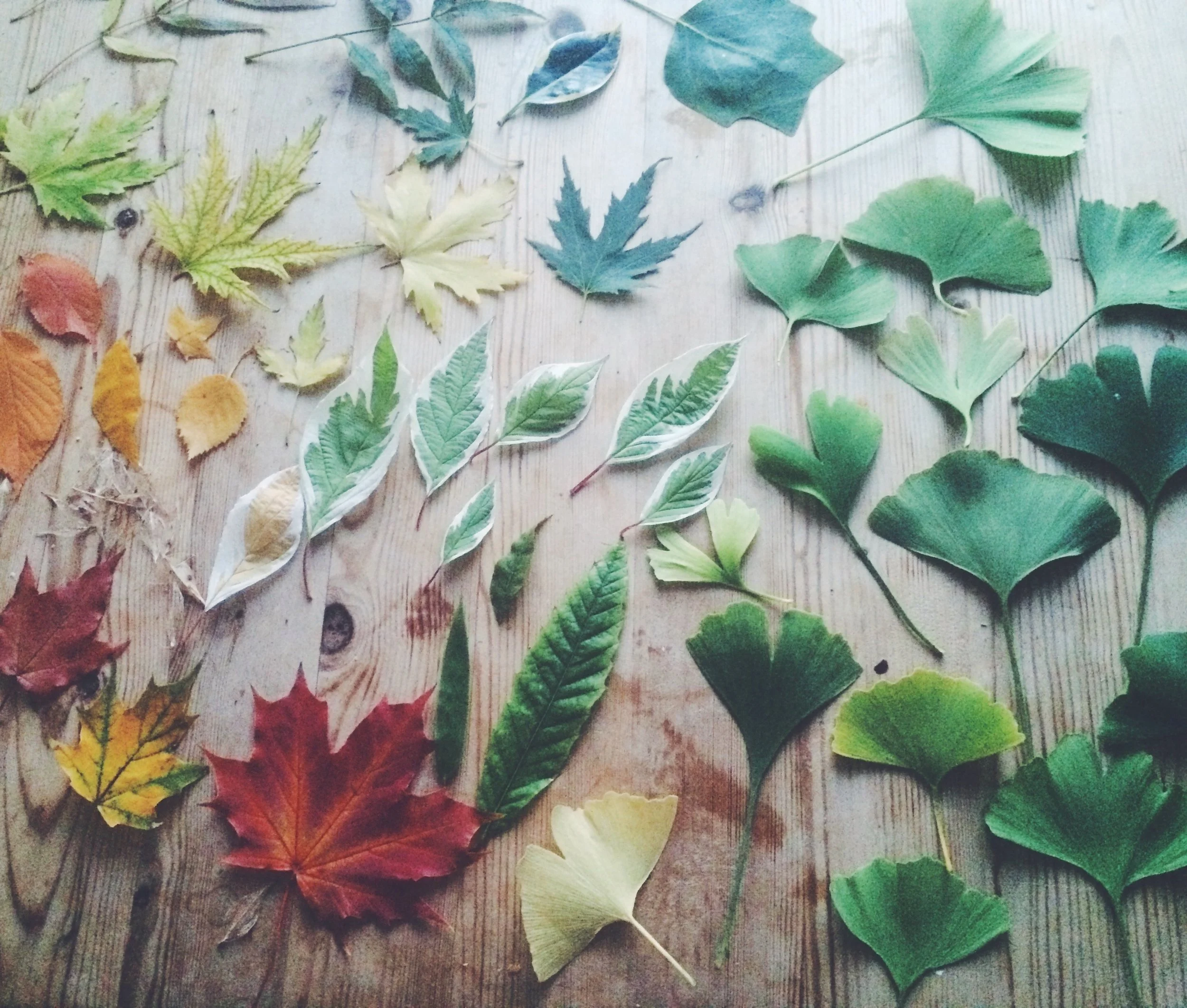 FullSizeRender 58.jpg