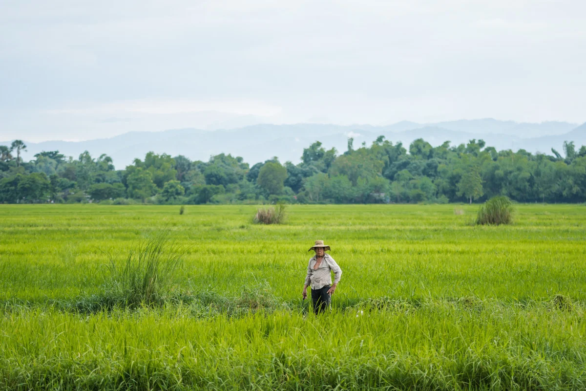 Philippine Farmland