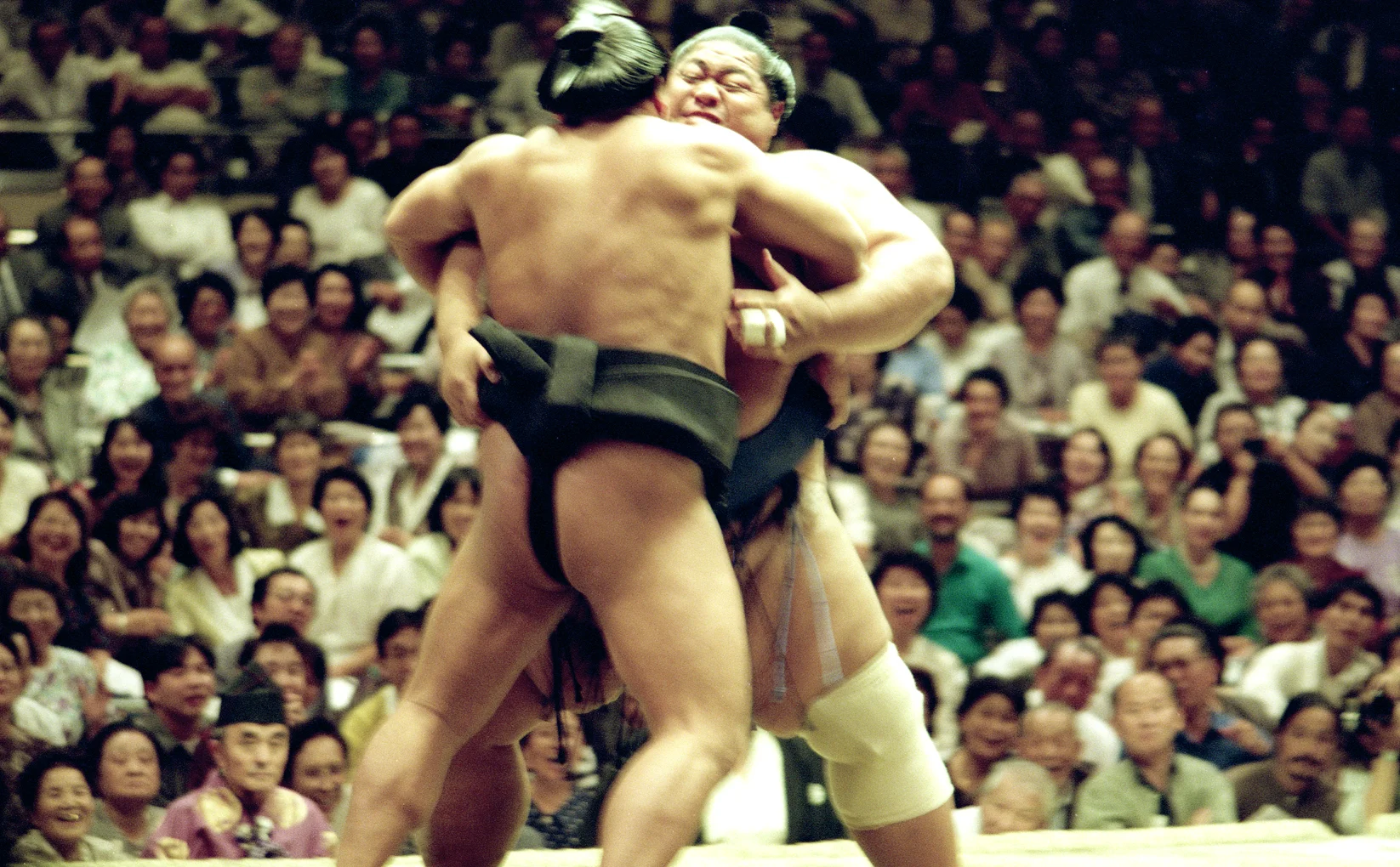 Sumo.jpg