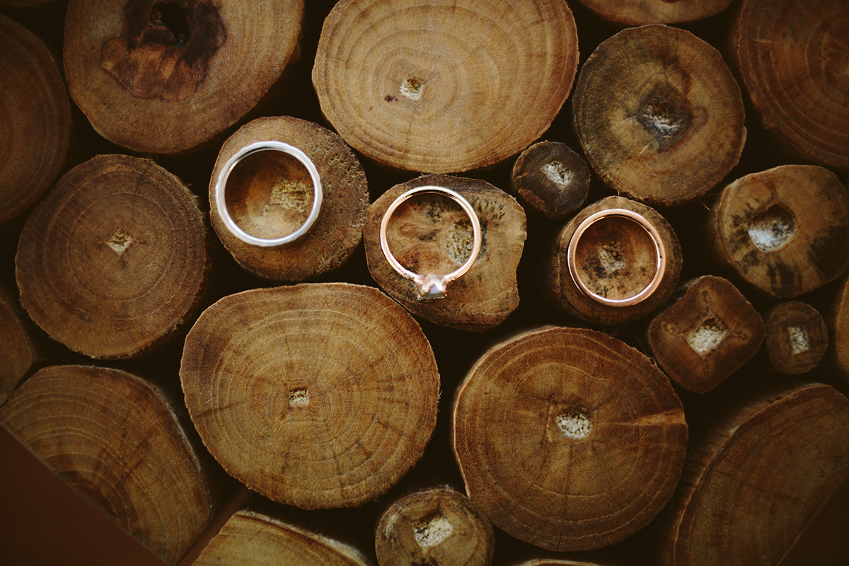 arniandchriswedding (3 of 554).jpg