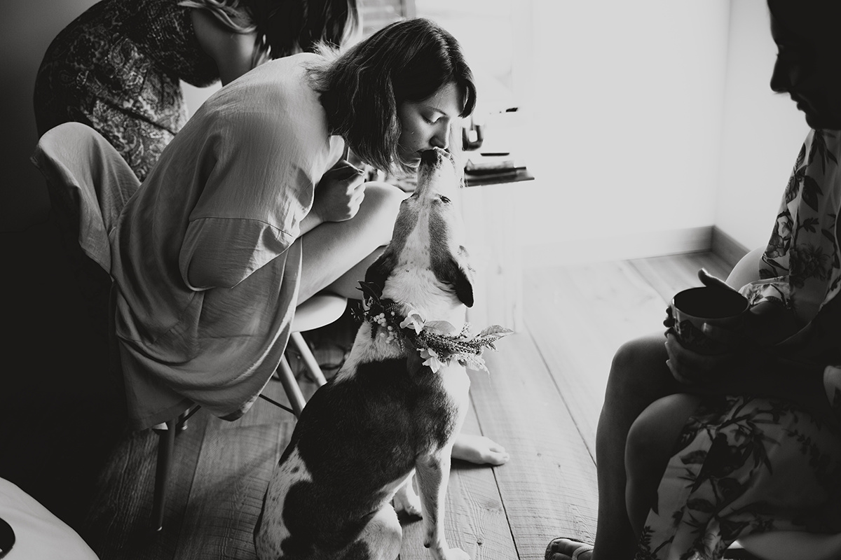 arniandchriswedding (17 of 554).jpg