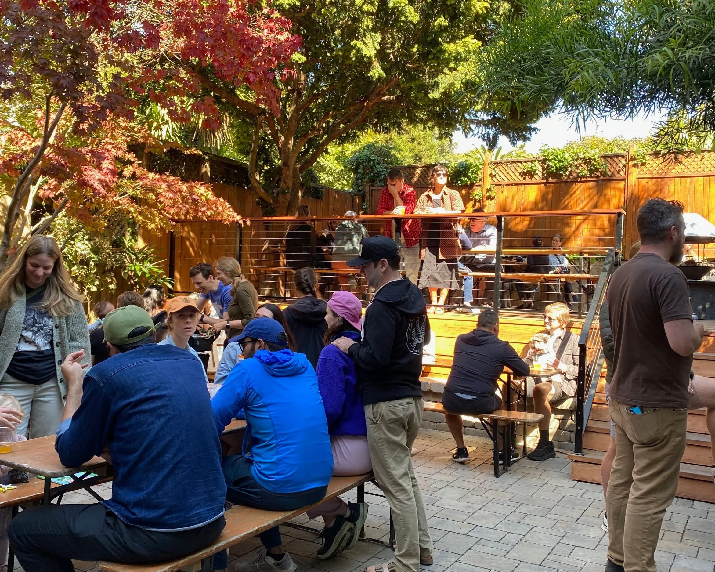 Woods Cervecería