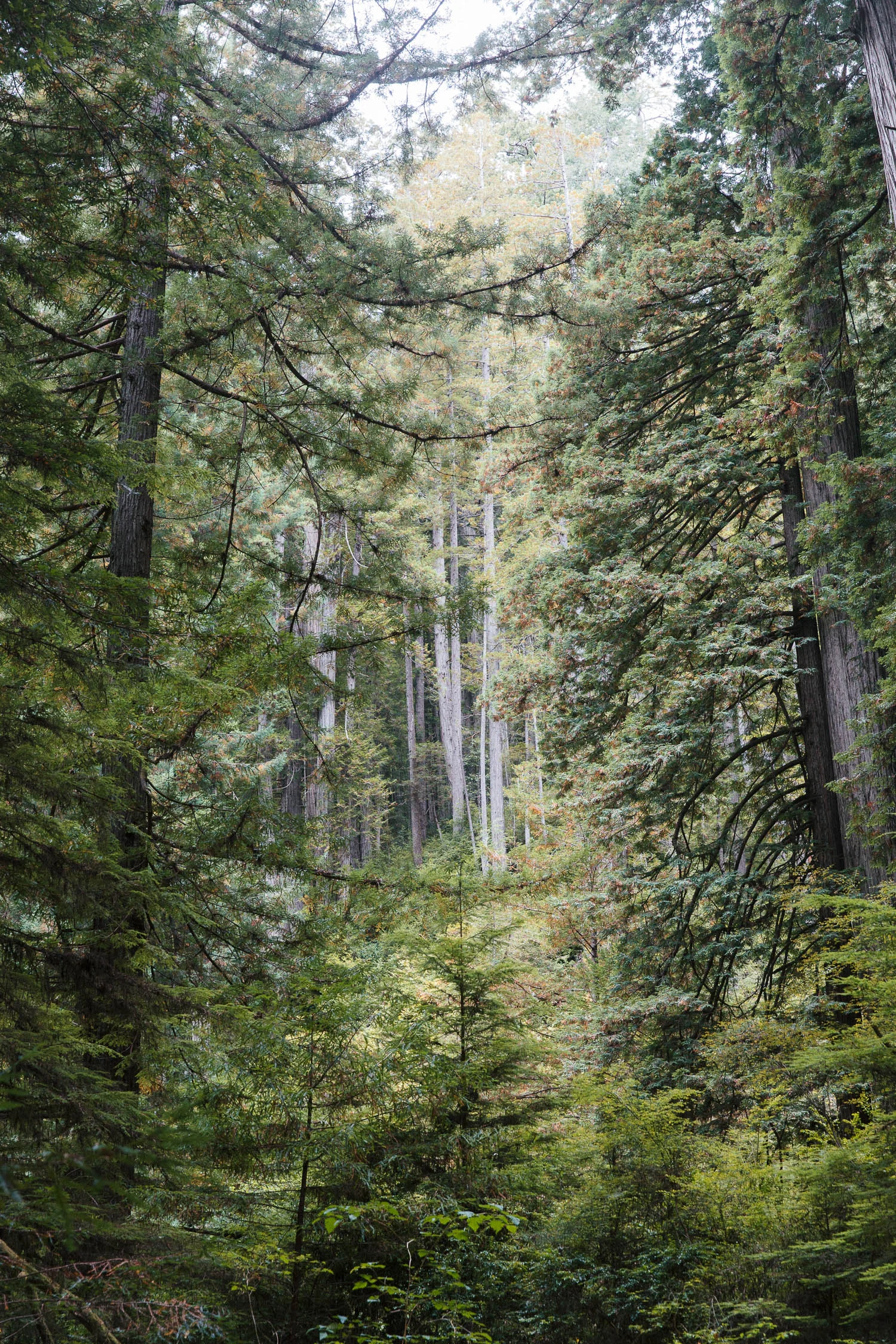 PhilippaLangley_Oregon-1140.jpg