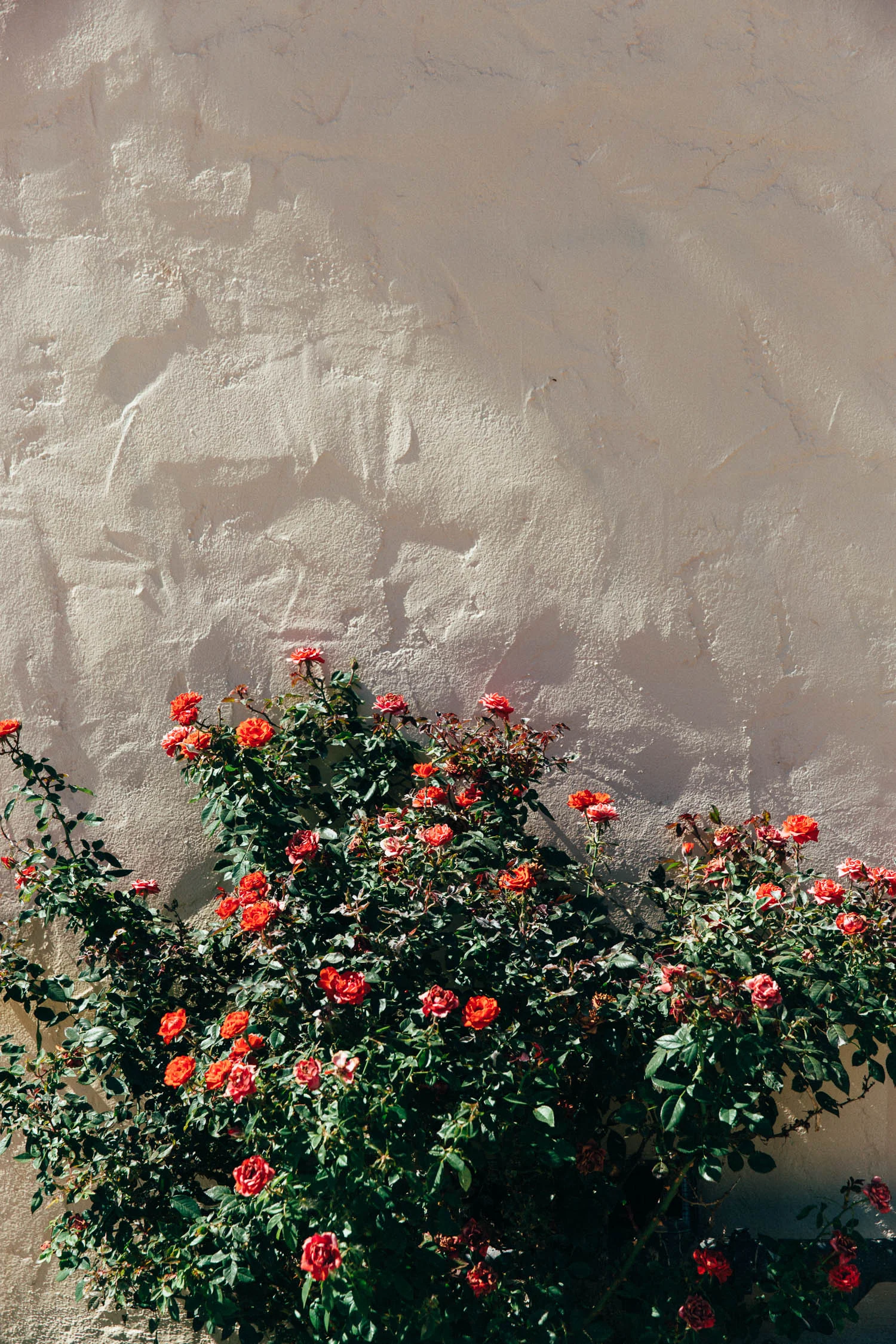 PhilippaLangley_California-4178.jpg