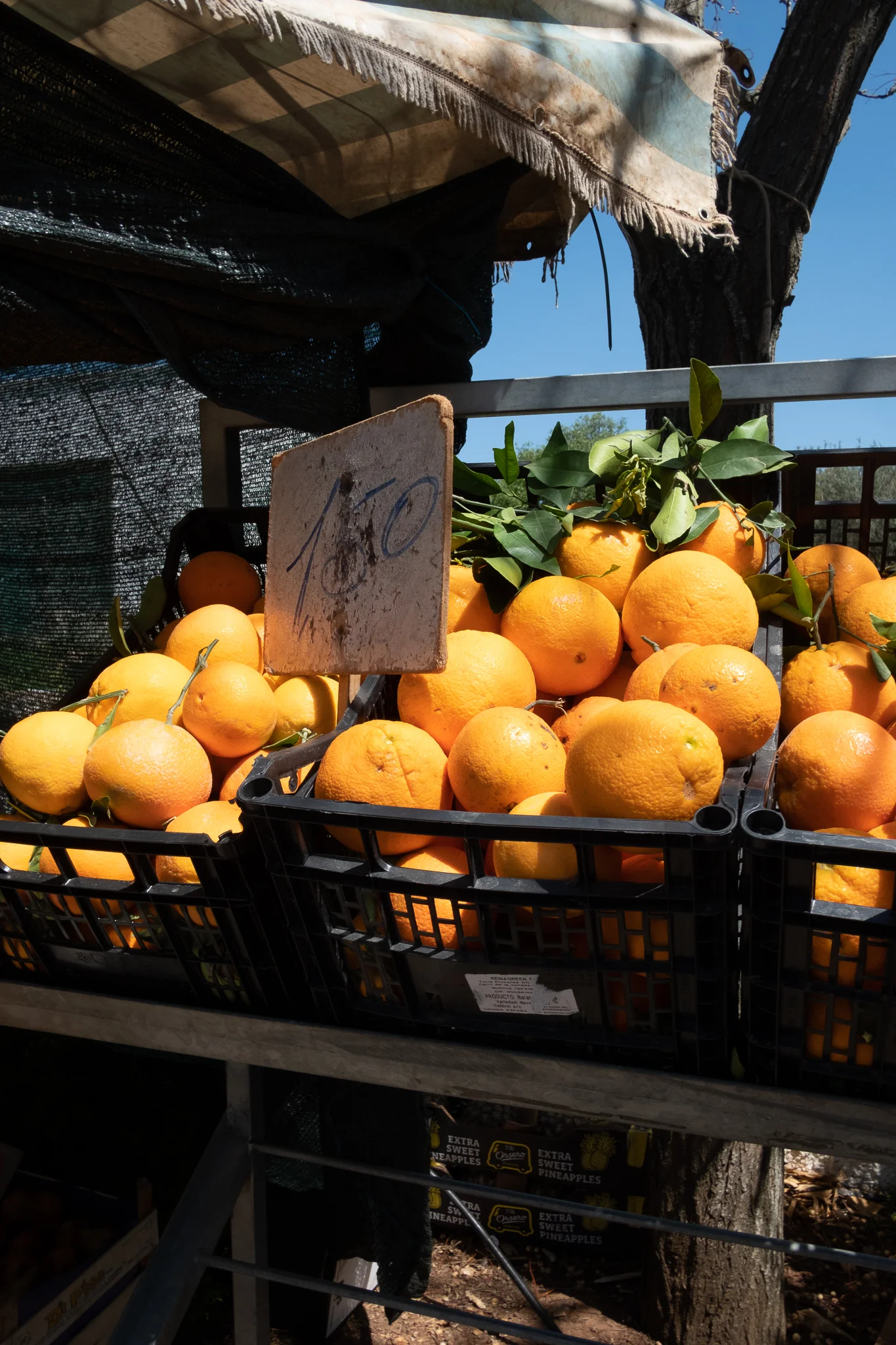 PhilippaLangley-Puglia-0602.jpg