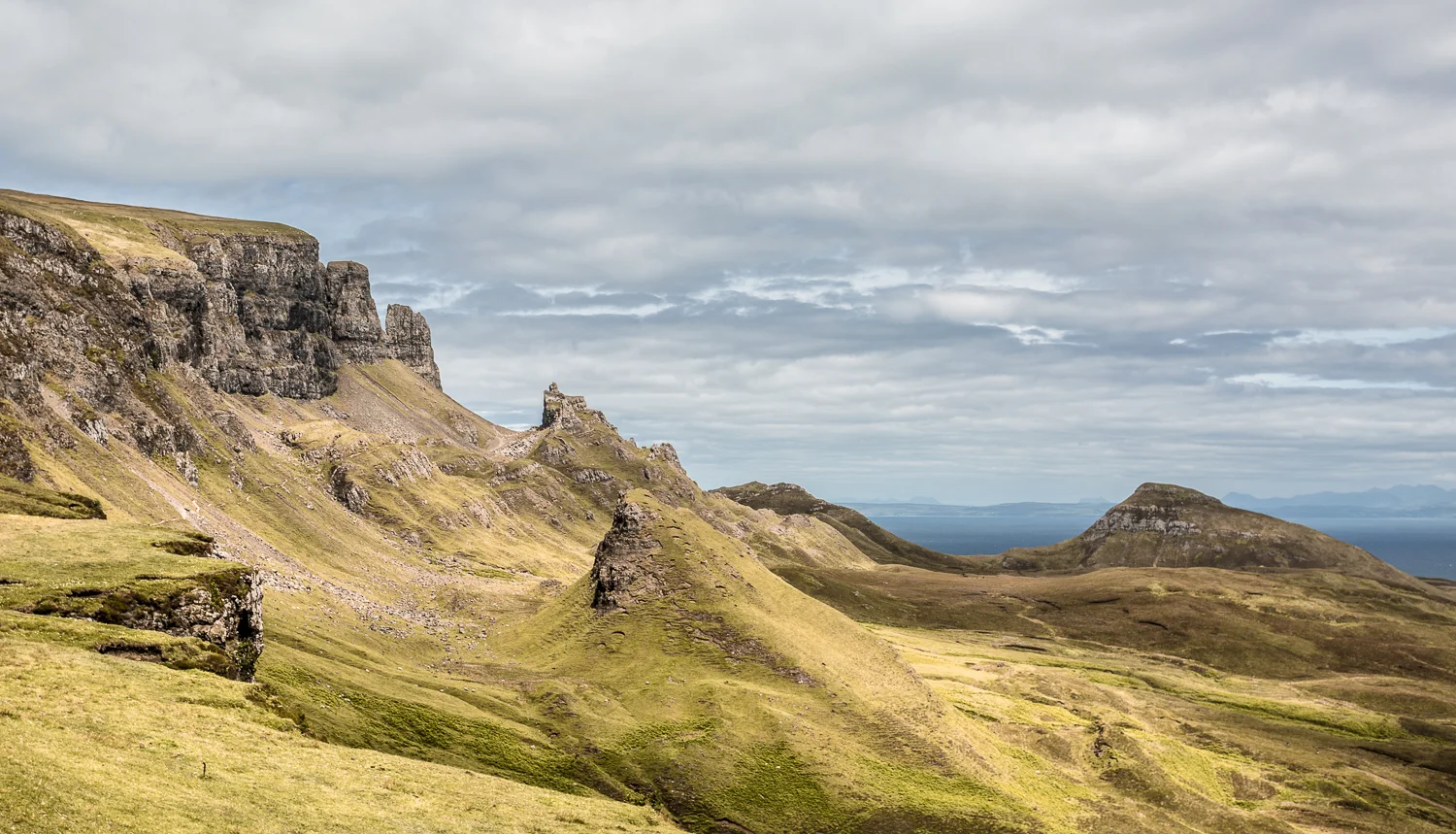 _31A3931-5.jpg