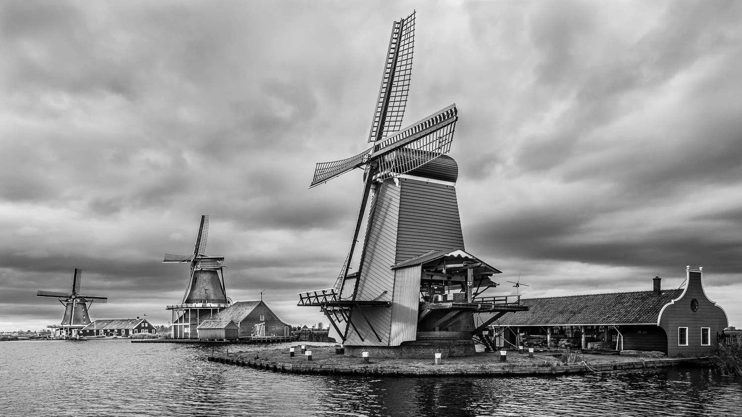 _31A4162.jpg