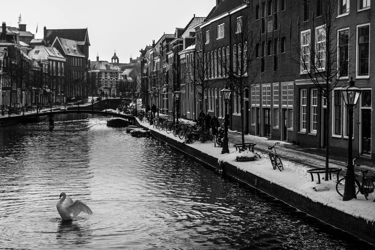 _MG_1151.jpg