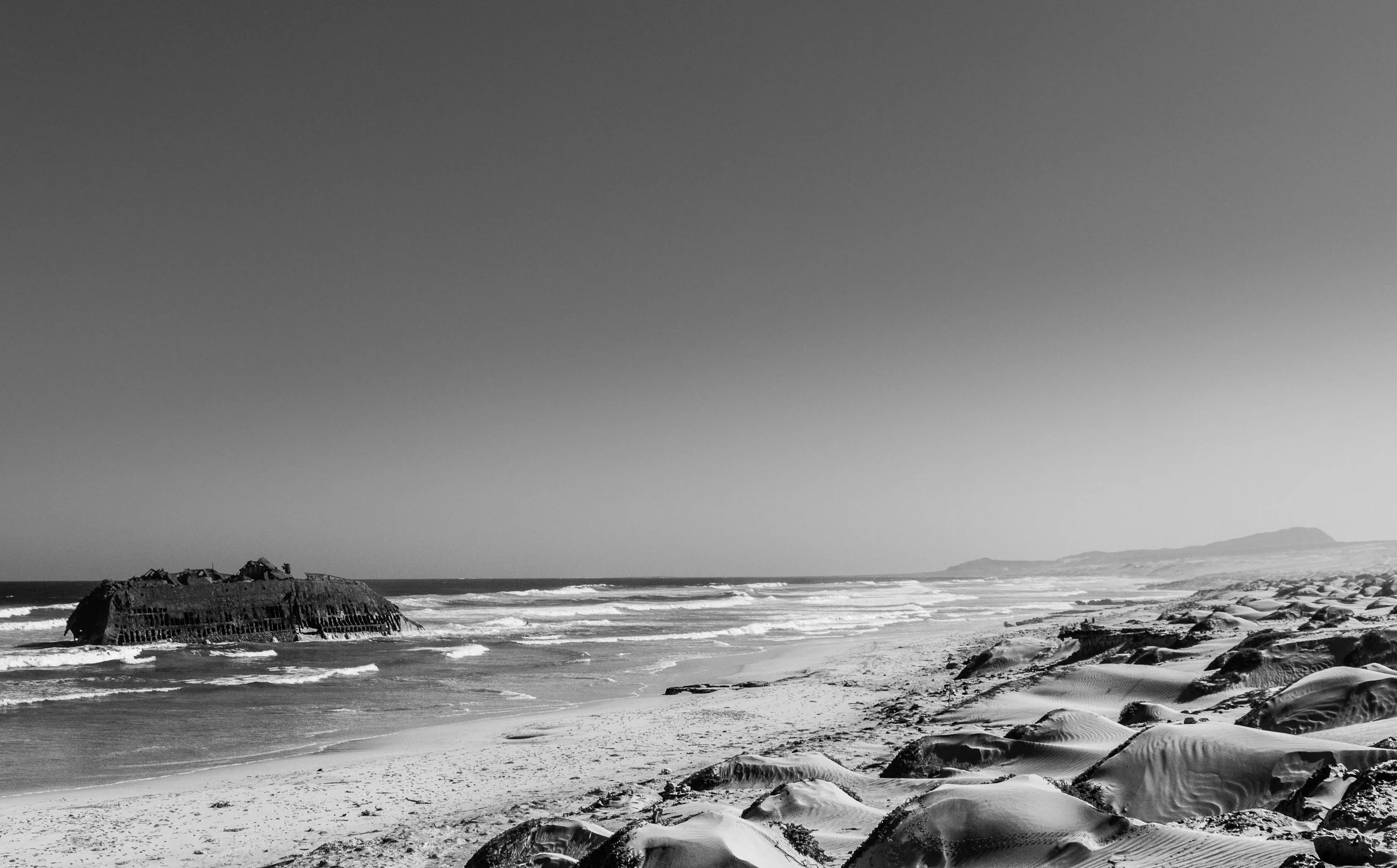 _MG_8517.jpg