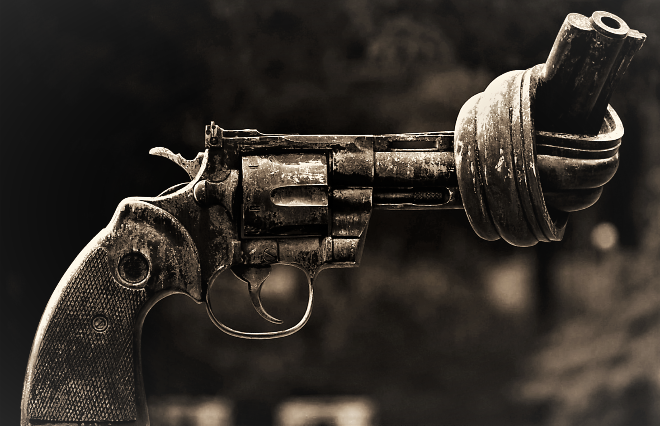 Gun Control [Replication]