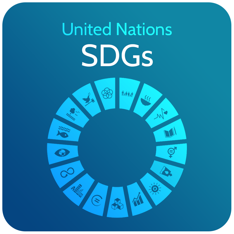 Your_Big_Year_microcredential_Badge_UN_Sustainable_Development_Goals.png