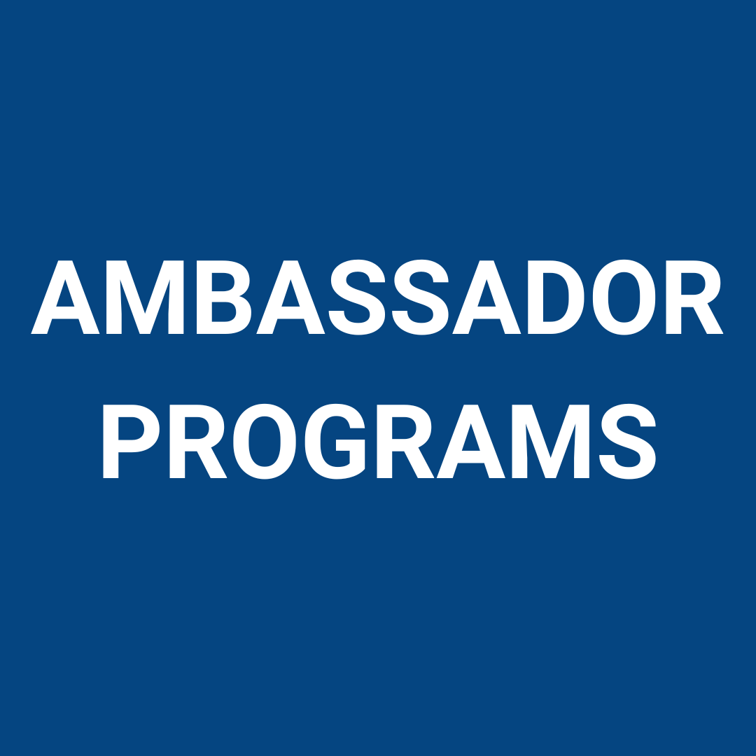Your_Big_Year_Partnerships_Solutions_Ambassador_programs.png
