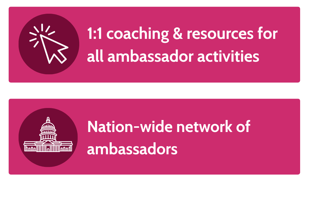 Pink background with two sections; the top features a cursor icon and text about coaching and resources for ambassador activities, the bottom shows a government building icon and text about a nationwide network of ambassadors.