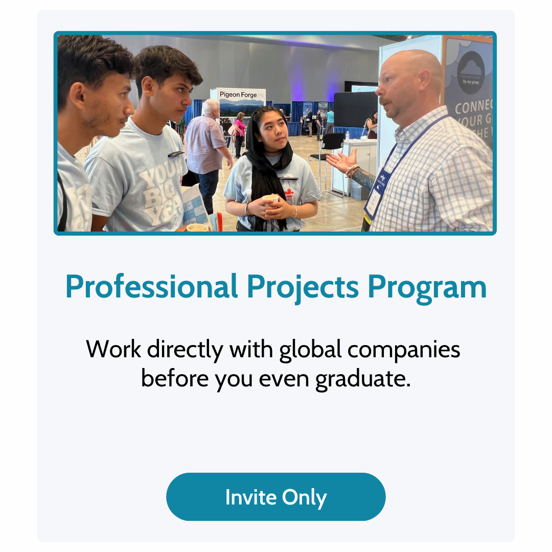 Professional Projects Program