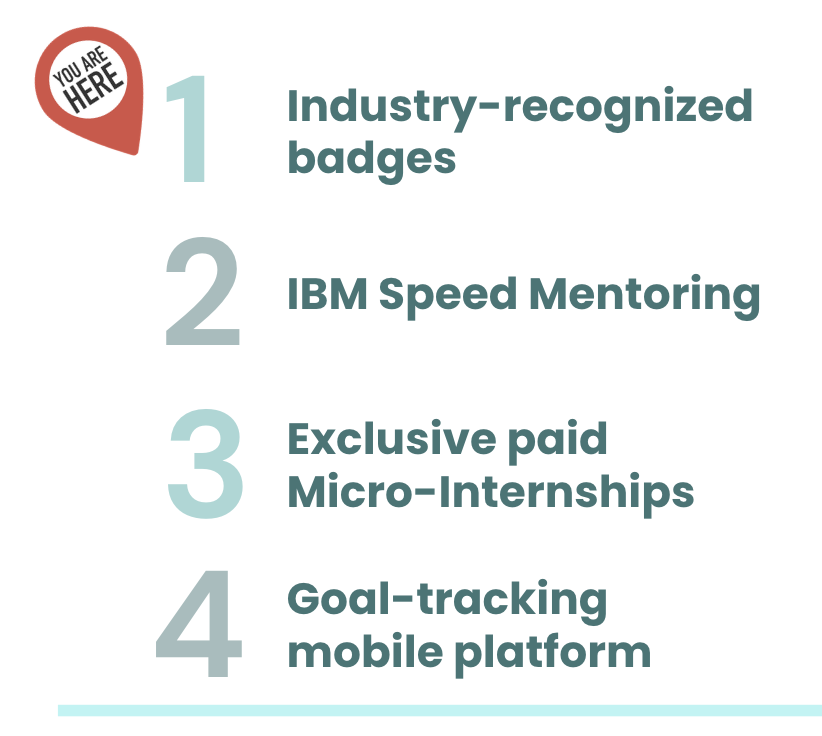 About the IBM SkillsBuild Program Graphic