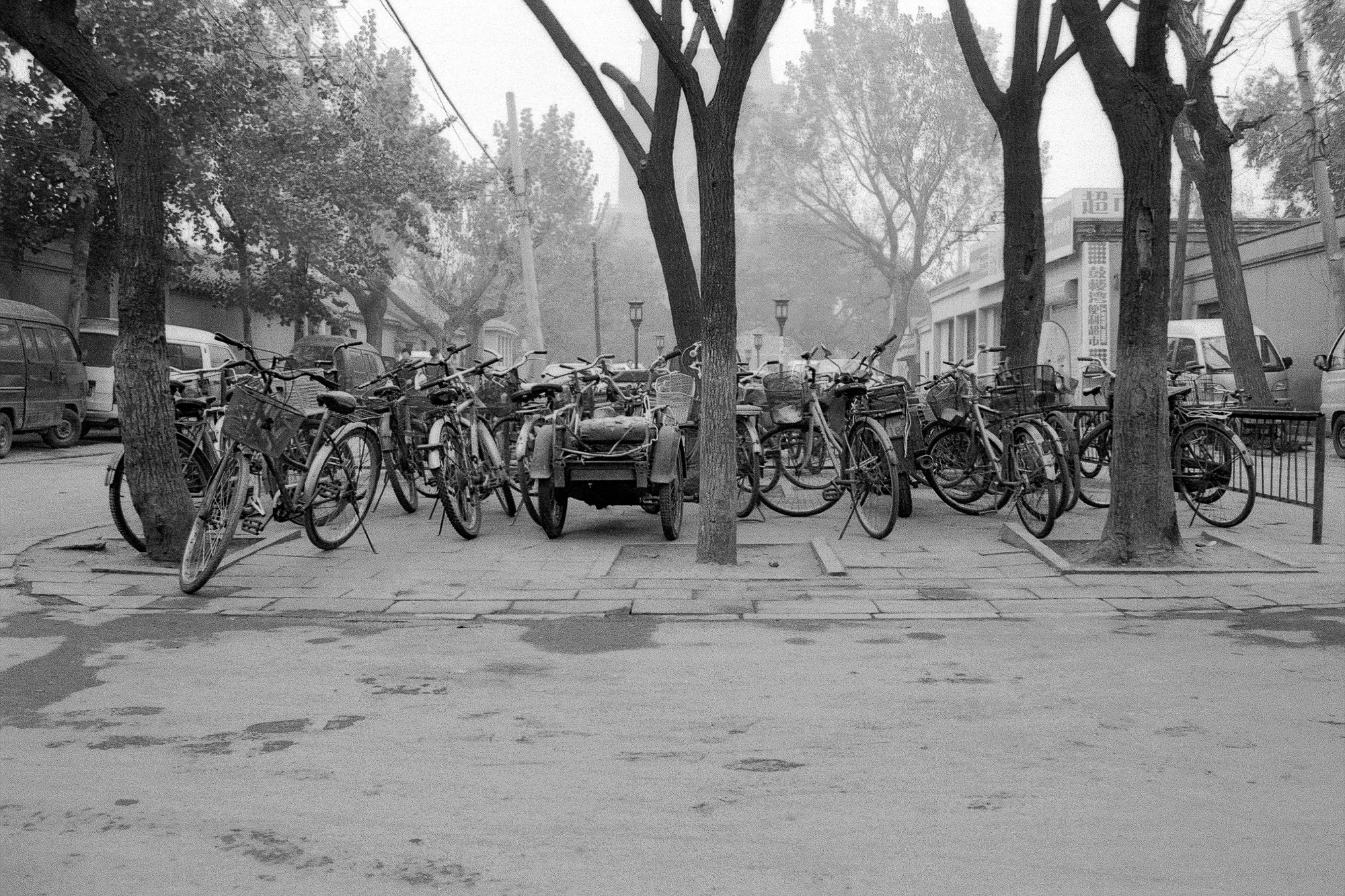 china_bike_12x8_05.jpg