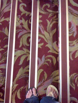 #seebelow #photography