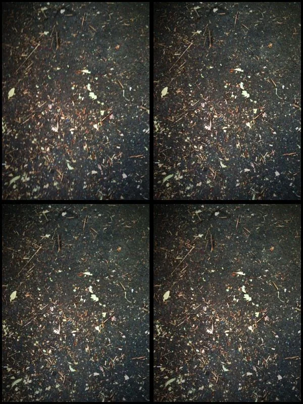 _ #photography #seebelow #mobile