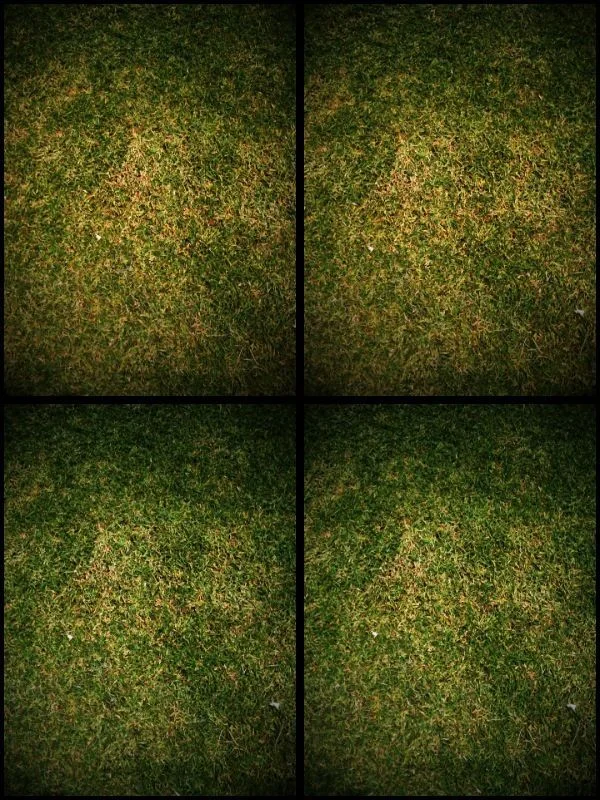 _ #seebelow #mobile #photography