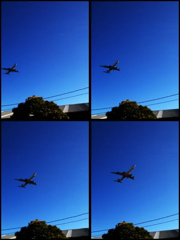 _ #lookup #mobile #photography