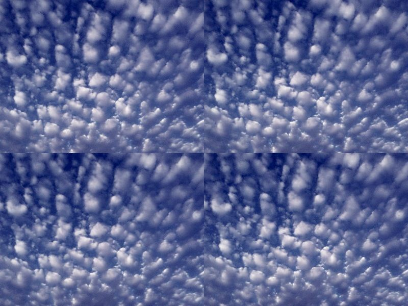 _ #lookup #photography #mobile