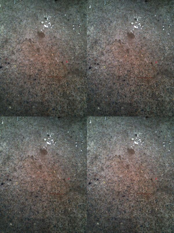 _ #seebelow #photography #mobile