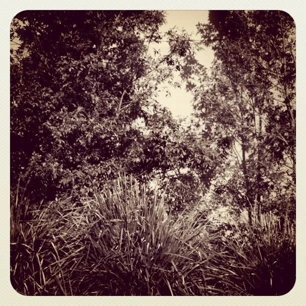 (Taken with instagram)